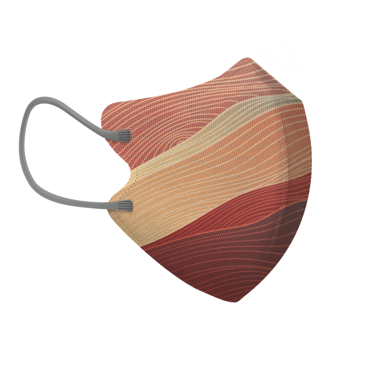 地球浪線三層2D纖面型口罩 - 大碼 (袋裝5個)